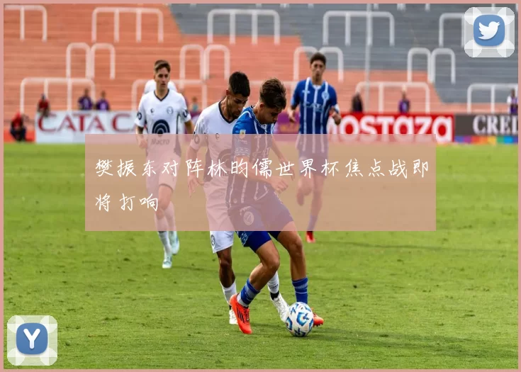 樊振东对阵林昀儒世界杯焦点战即将打响