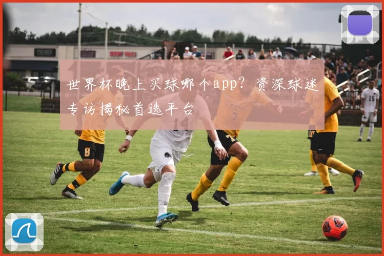 世界杯晚上买球哪个app？资深球迷专访揭秘首选平台