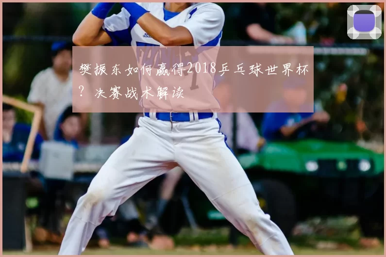 樊振东如何赢得2018乒乓球世界杯？决赛战术解读
