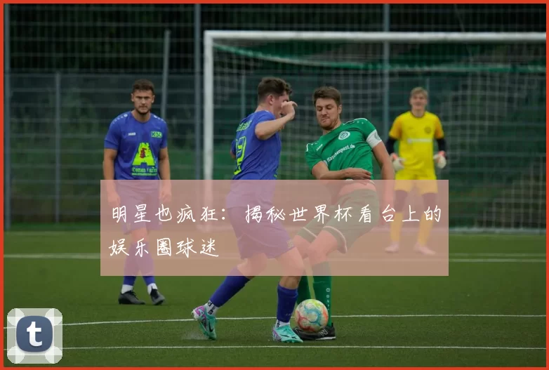 明星也疯狂:揭秘世界杯看台上的娱乐圈球迷
