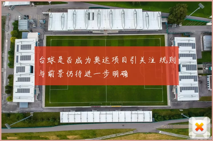 台球是否成为奥运项目引关注 规则与前景仍待进一步明确