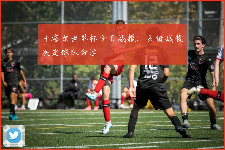 卡塔尔世界杯今日战报：关键战役决定球队命运