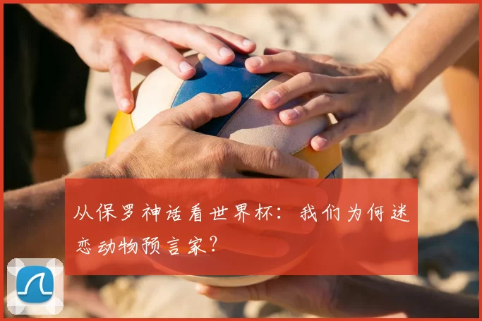 从保罗神话看世界杯：我们为何迷恋动物预言家？