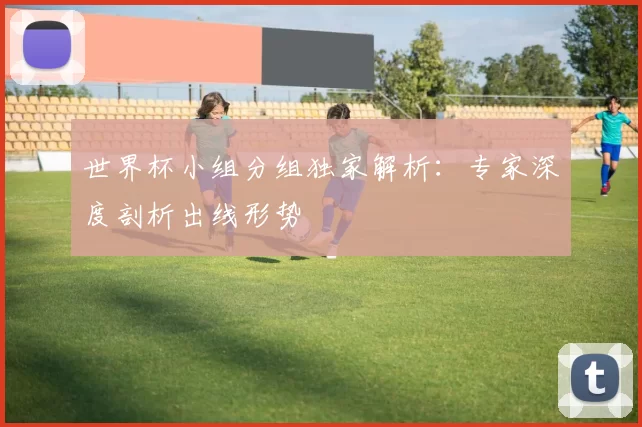 世界杯小组分组独家解析：专家深度剖析出线形势