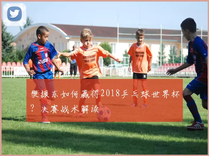 樊振东如何赢得2018乒乓球世界杯？决赛战术解读