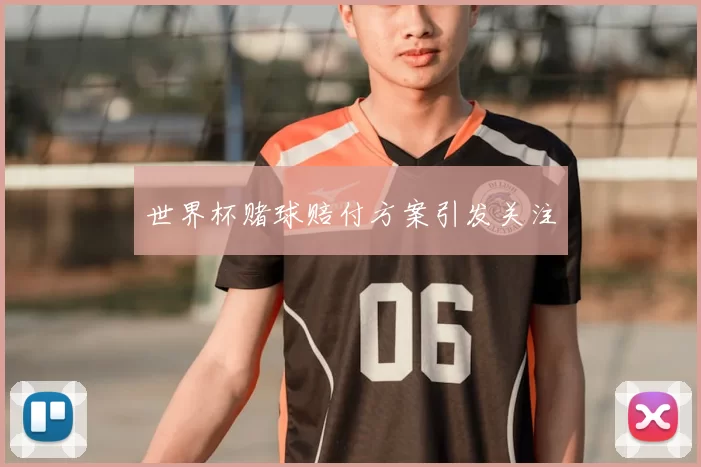 世界杯赌球赔付方案引发关注