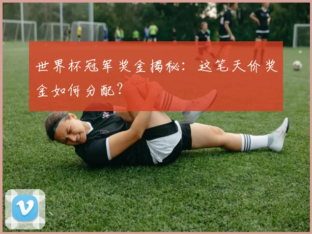 世界杯冠军奖金揭秘：这笔天价奖金如何分配？