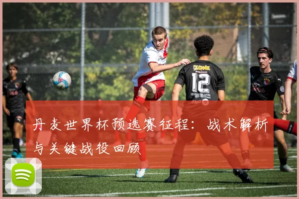 丹麦世界杯预选赛征程:战术解析与关键战役回顾
