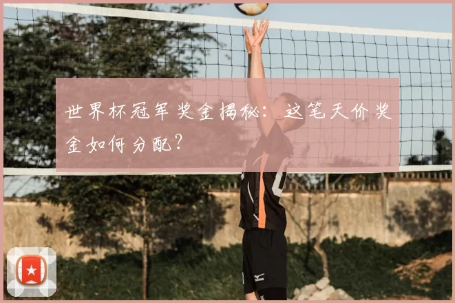 世界杯冠军奖金揭秘：这笔天价奖金如何分配？