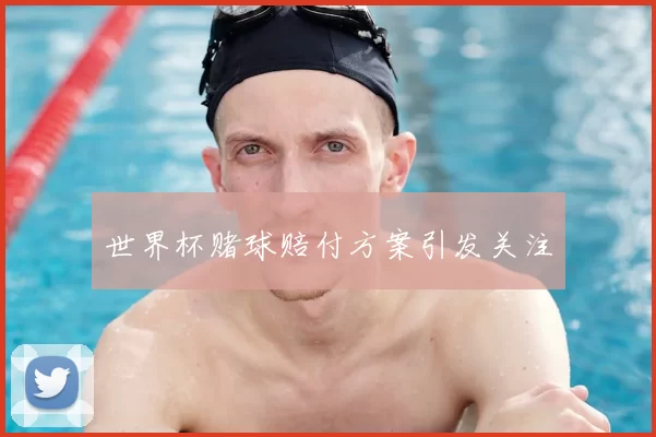 世界杯赌球赔付方案引发关注