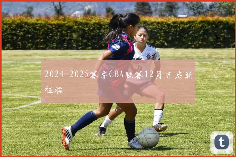 2024-2025赛季CBA联赛12月开启新征程