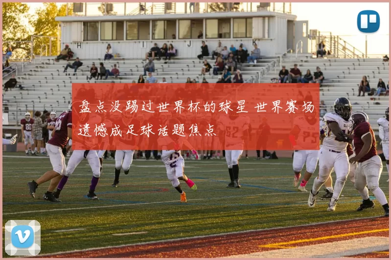 盘点没踢过世界杯的球星 世界赛场遗憾成足球话题焦点