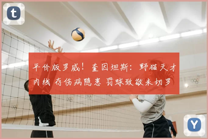 平价版罗威！奎因坦斯：野猫天才内线 存伤病隐患 罚球致敬米切罗