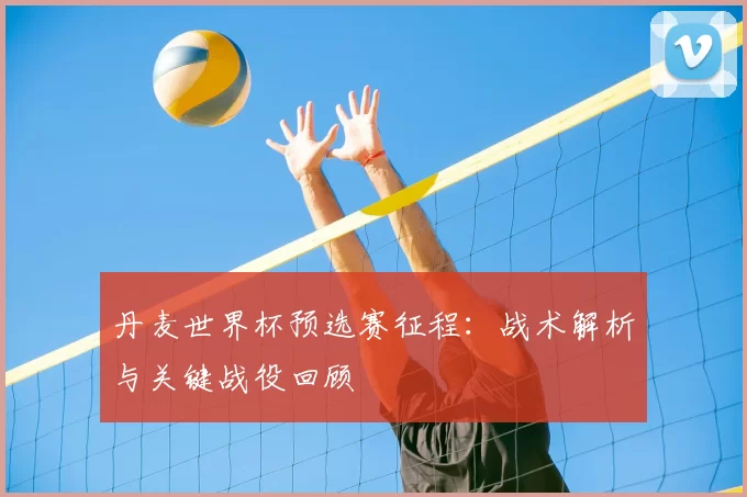 丹麦世界杯预选赛征程:战术解析与关键战役回顾