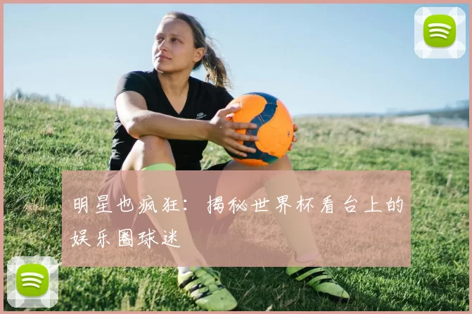 明星也疯狂:揭秘世界杯看台上的娱乐圈球迷