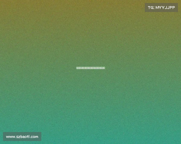 《《指尖上的征途：张小攀的电竞风云录》